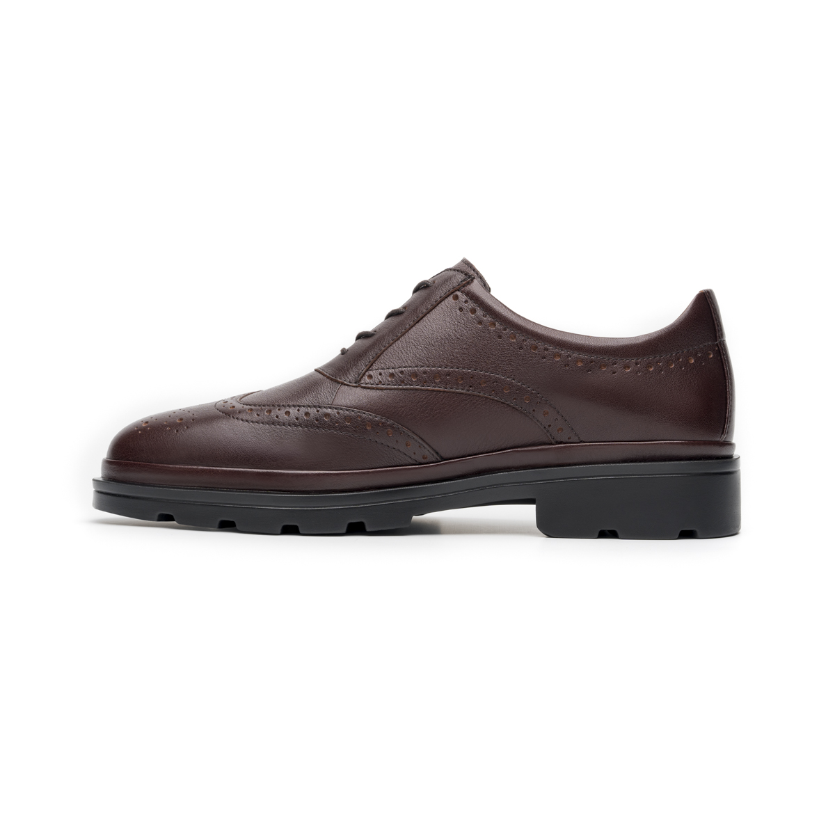 Oxford Semivestir Quirelli para Hombre Estilo 706904 Vino